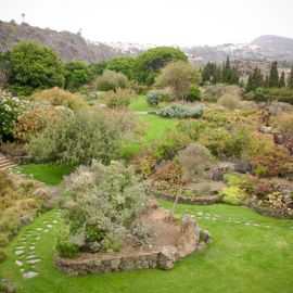 Jardín Botánico Viera y Clavijo
