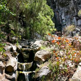 Jardín Botánico Viera y Clavijo