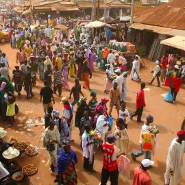 One day excursion The Gambia