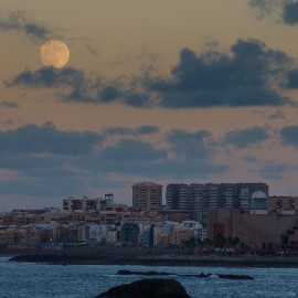 Moon