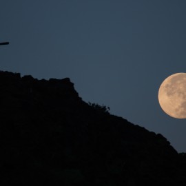 Moon