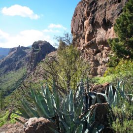 Hiking (walking - trekking)
