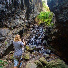 Hiking (walking - trekking)