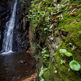 Barranco de los Cernicalos