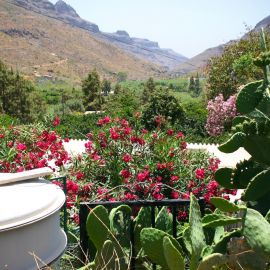 El Sao - Ayagaures